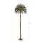 6ft. Pre-Lit Palm Artificial Christmas Tree, Warm White LED Lights
